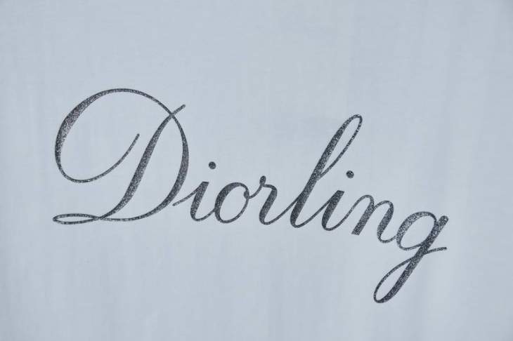 Dior T Shirts Short _SKUDiorS-XLhgntx7515745